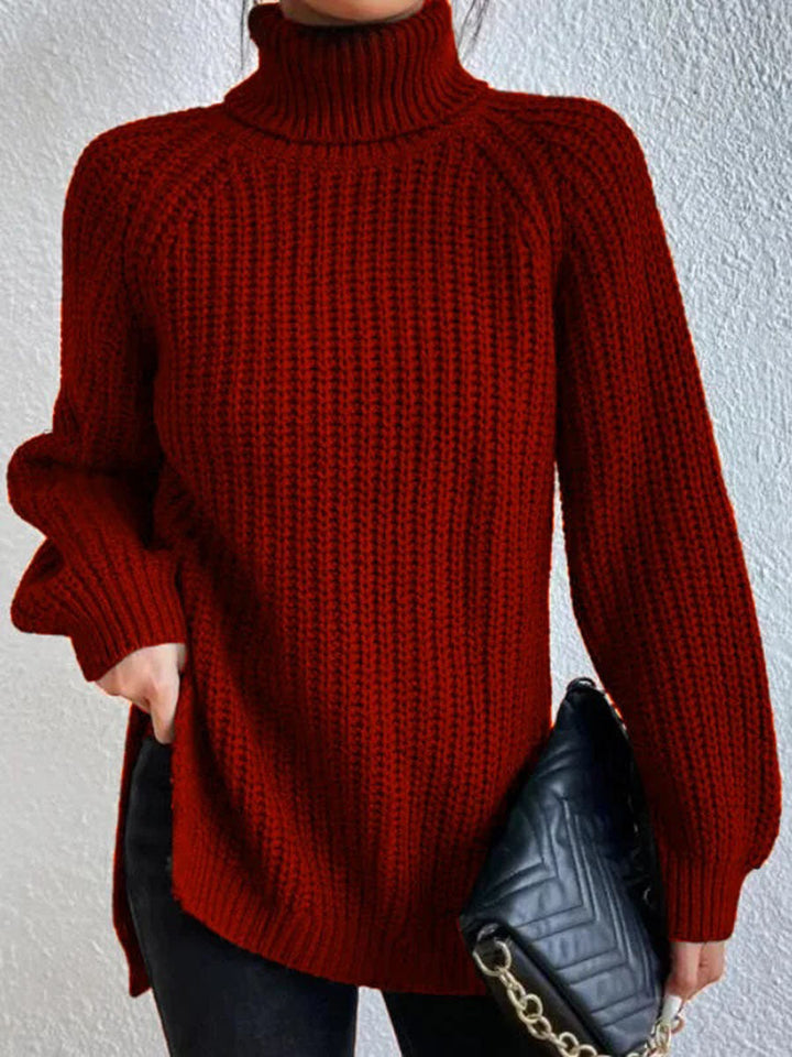 Zara - Cozy Cotton Turtleneck Sweater